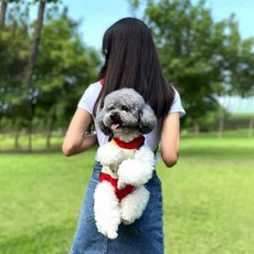 Pet Backpack Carrer Cat Front 쿠션 강아지 For 백팩 Do 고양이 에어버기, 1개, 13. 계화 S 3-5kg