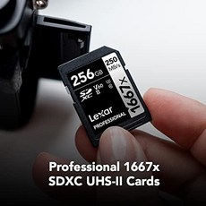 렉사 Professional 1667x256GB SDXC UHS-II 메모리 카드 C10 U3 V60 Full-HD 미국-638249, 2팩 NP-W235배터리, 256GB