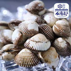 098e115908712a10081ce1ee60d89cc7958c601f526d4724369e1dfbaa44.jpg