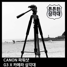 캐논g3x