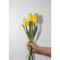 2b55f1b715eb8013b9cf6ee0d3fd04434e1dabca12d49bef467ace7c0518.png