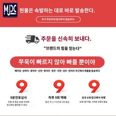 뽀빠페드레띠 TOP01