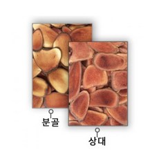 동의한약나라 러시아녹용중대, 1개