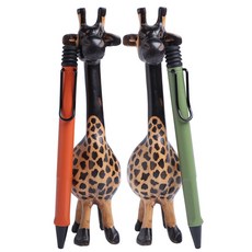 졸업사진사파리