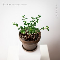 f1c547f06844844a699de6c05b847e5143d3d18cfa74886cce3d8aa32c51.jpeg