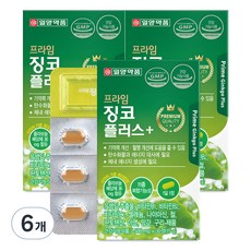 일양약품 프라임 징코 플러스, 30정, 6개 6개, 15g