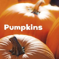 Pumpkins Hardcover, Capstone Press