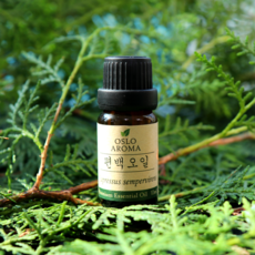 천연 피톤치드 편백수 편백오일 원액 100% 편백, 3개, 10ml