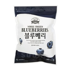 베리필드 냉동 블루베리 1kg / 칠레산 이룸푸드시스템, 10개