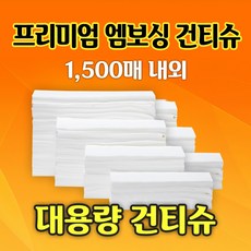 건티슈2.5
