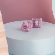 에버글라이드아쿠아킹