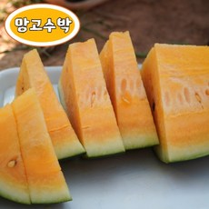 고창수박-추천-상품