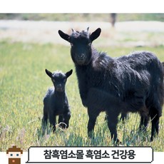 [당일 발송] 흑염소 건강용(호주산), 1개, 15kg