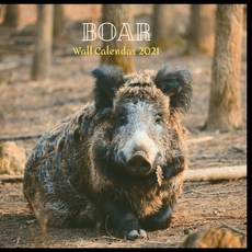 Boar Wall Calendar 2021: Great gifts ideas for teacher and for special holidays ( Christmas Hallowe... Paperback, Independently Published