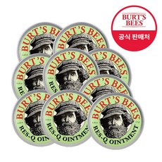 버츠비레스큐오인트먼트15g