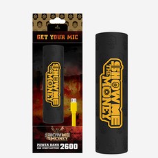 스틱보조배터리