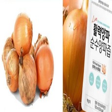 참유원 순수 양파 엑기스 100ml x 200개입