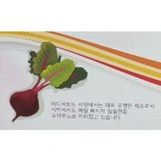 고랭지비트