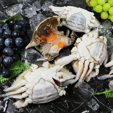 연평도 꽃게 1kg ~10kg 햇꽃게 서해꽃게 겨을꽃게 봄꽃게 활꽃게 알배기꽃게 서해안꽃게 국산 냉동꽃게 몽당꽃게 냉동 절단꽃게 생꽃게 활 숫꽃게 암꽃게 수꽃게 서해안꽃게
