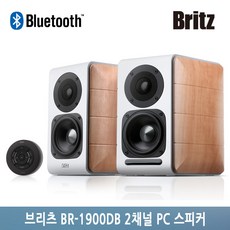 브리츠br4900t