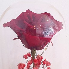 5e8c932150c81a6cec6889fdf15ea907f4a15b612d263904fe1f697b4d65.jpg