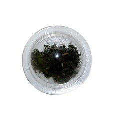 1debe29fa73f79de2d3f3988c7c854b193442e873ade112d2c55768fb9f9.jpg