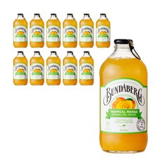 에스제이서진 분다버그 트로피칼 망고(병) 375ml x 12ea 수입음료 종합, 24개 