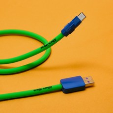얼루어웨이브 실리콘 초고속 충전 케이블 USB to C, 1개, 150cm, 그린