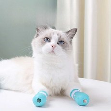 고양이 발톱 관리 반려묘 풋커버머프 안전 긁힘 베임 방지, 1개, 그린 풋머프+손톱가위+파일