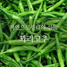 784a2eb3a7087076686aebbea2ae89a0765732ac3e7cb96d903af92f3cda.jpg