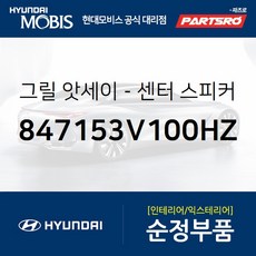 그랜져hg그릴스피커