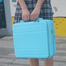 위탁수하물가방