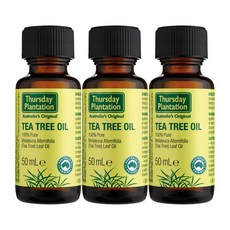 써스데이플랜테이션티트리오일