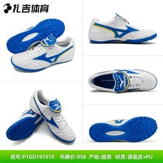 모렐리아웨이브