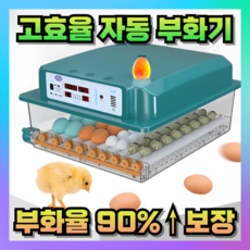 에그본 고효율 부화기 병아리 자동 급수 온도제어 가정용 계란 병아리키우기 육추기 인큐베이터, 24개
