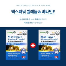 시서스갑상선기능저하