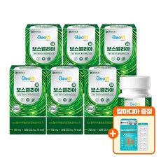 베오비 보스웰리아정 750mg 30정 6박스, 6개
