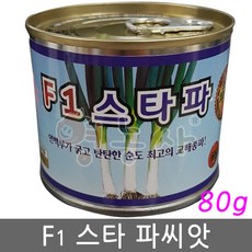 F1 스타 대파씨앗 80g 캔, 단품