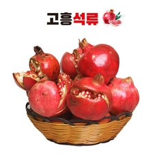 석류생과