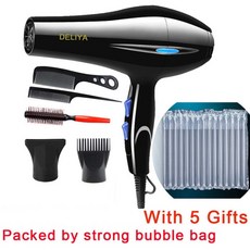 다이슨드라이기110v