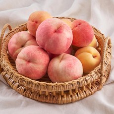 제철 백도 황도 털 말랑이 복숭아 물복 2kg 4kg 소과 대과 중과, 1박스, [말랑이]백도 2kg(소과/11~13과 내외)