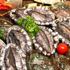[완도바다참전복] 활 참전복 (중/소) 1.5kg(20-24미), 1개