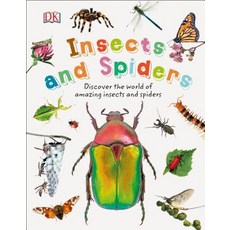 Insects and Spiders Hardcover, DK Publishing (Dorling Kindersley)