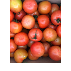 완숙토마토 맛있는 토마토 10kg 가성비 상품, 1박스, 10kg못난이과