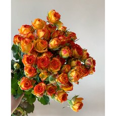 aaf331abffa9ad3330ac79f230b925482ab3d4fe8896326d3a50a73beac3.JPG