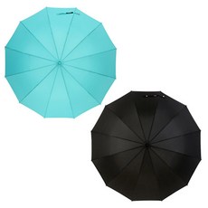 까르페디엠 무지 장우산 2개