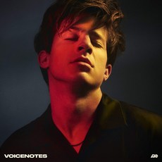 찰리 푸스 LP Charlie Puth - Voicenotes Vinyl 바이닐 블랙 엘피판 - 찰리푸스lp