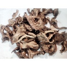 건조능이버섯 50g(500g건조분), 1개, 50g
