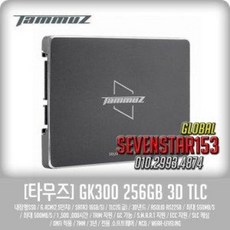 타무즈ssd
