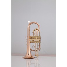 바하트럼펫수입